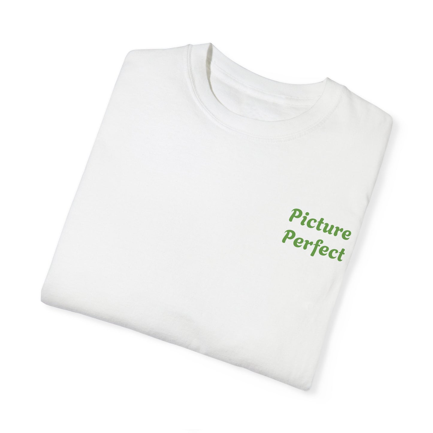 'Picture Perfect' T- shirt